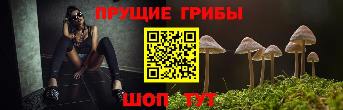 Галлюциногенные грибы мухоморы  Вход с VPN  Каменск-Уральский  Псилоцибиновые грибы ЛСД 